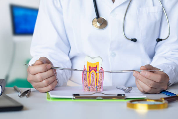 Best Emergency Treatment for Oral Infections in Garden City, ID